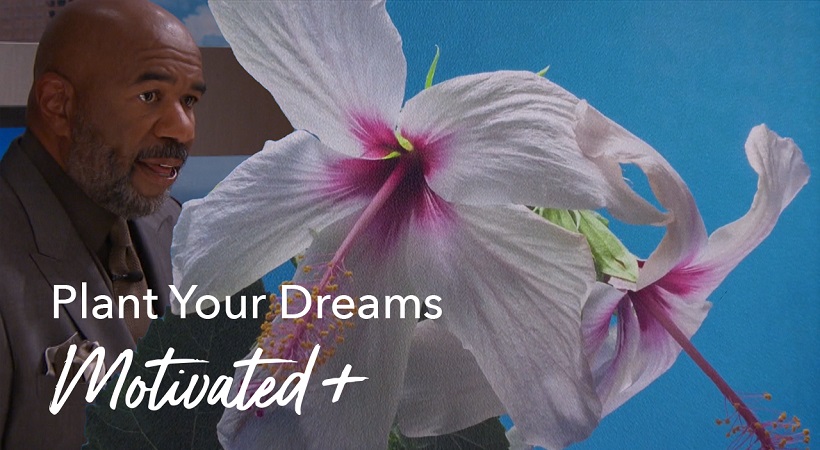 Plant Your Dreams | Motivated +